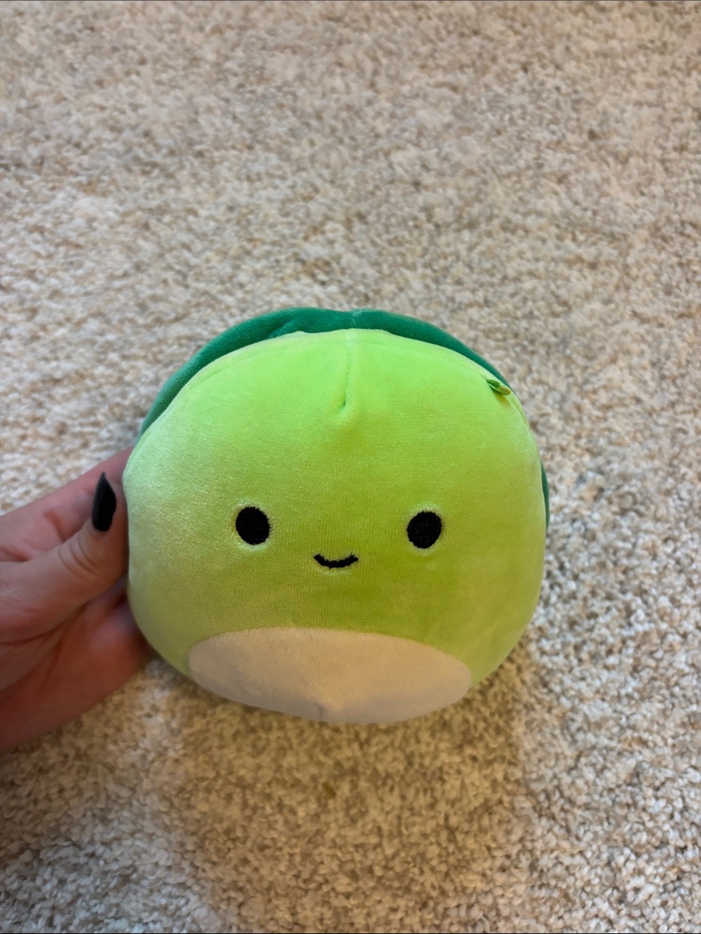 Mini turtle squishmallow